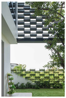 Mẫu thiết kế nhà đẹp 2 tầng với những mảng cây xinh xắn so le độc đáo | ND68-002